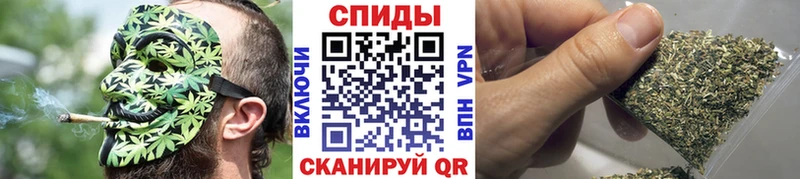 ссылка на мегу зеркало  Олонец  Бутират бутандиол 