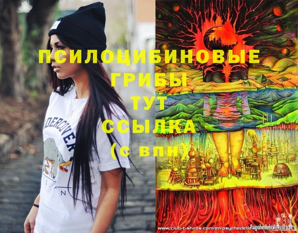 COCAINE Новозыбков