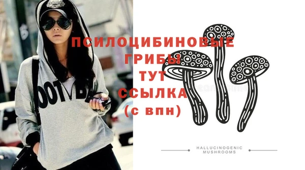 COCAINE Новозыбков